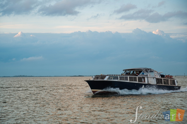 DSC_1250.jpg