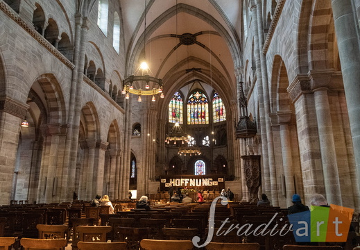 DSC 2028